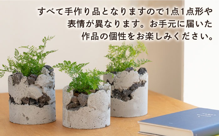TERAYAMA ZOEN オリジナルコンクリートポット（植物付き） 糸島市
