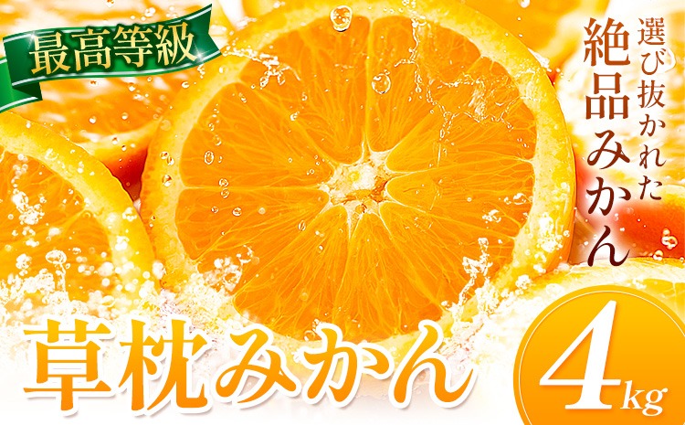 草枕みかん 約4kg 《11月上旬-12月上旬頃出荷》熊本県 玉名郡 玉東町