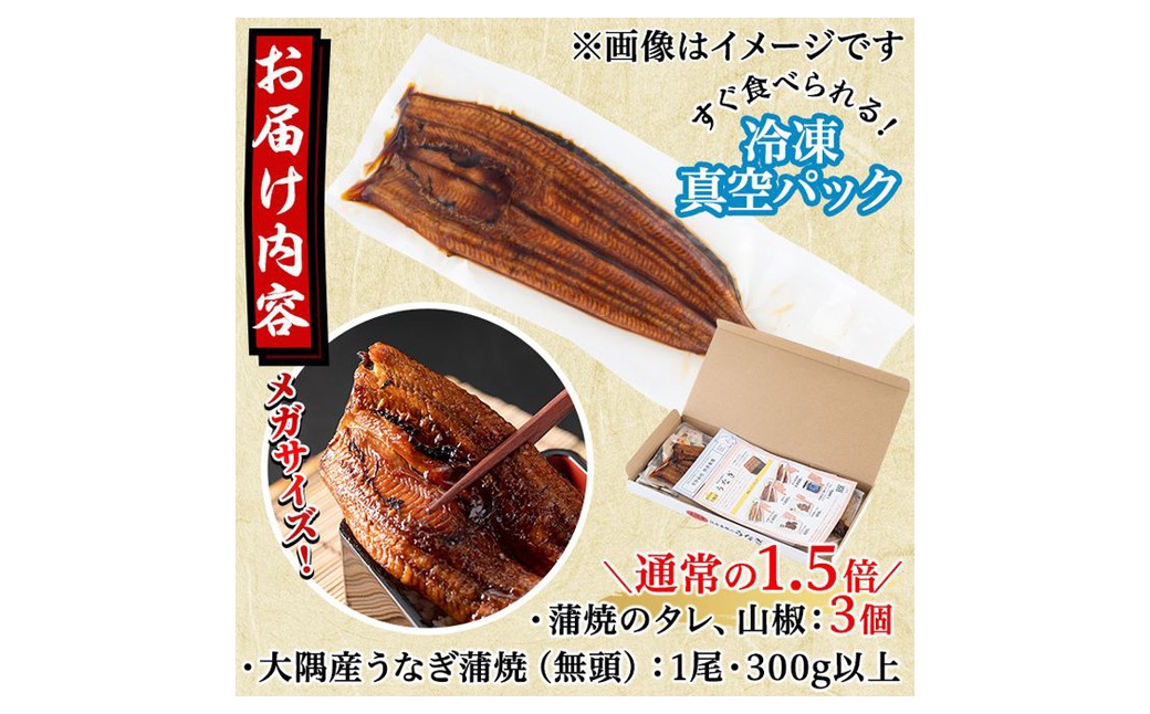 0104312a】東串良町のうなぎ蒲焼(無頭)＜メガサイズ＞(1尾・300g以上