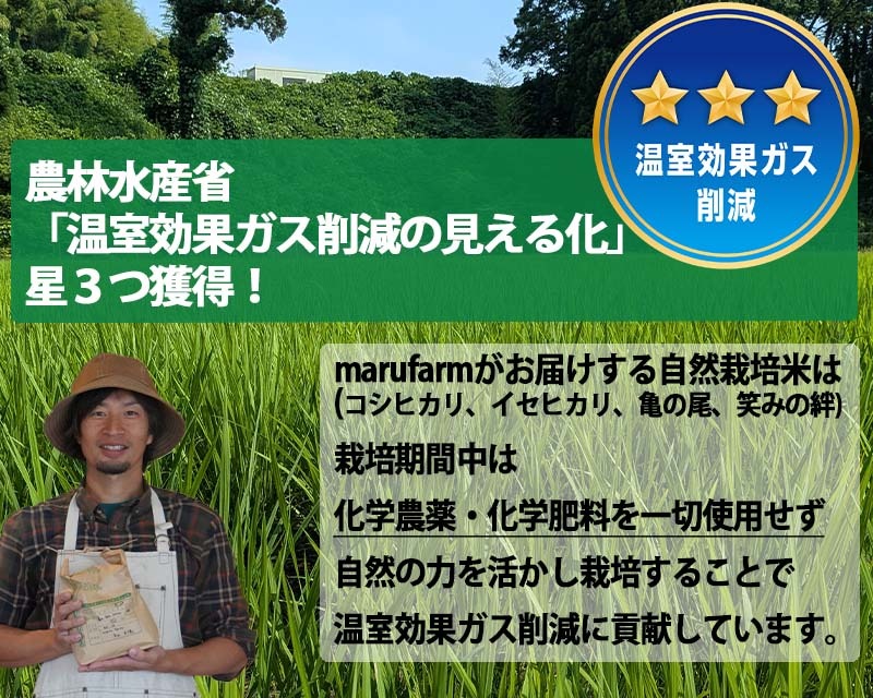 射水の美味しいお米】【自然栽培農法】自然栽培農家 marufarm 自然栽培