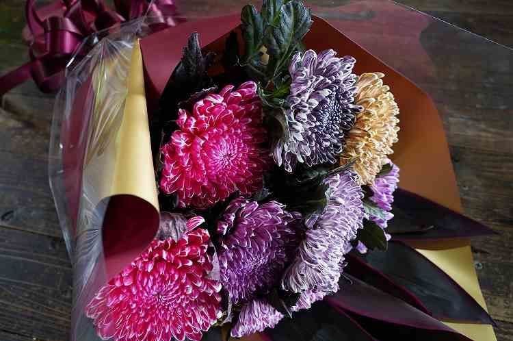 Bレア　大輪マム（アンティークな雰囲気　切り花　花束 おしゃれな染花】シックな色合いのカラーリングマムの花束 H092-077