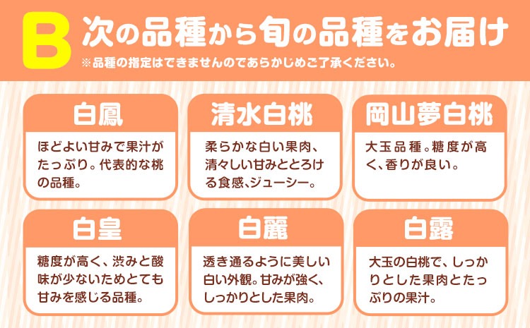 小寺さんの旬の白桃 2kg 6～9玉 小寺壽夫 《7月-8月頃出荷