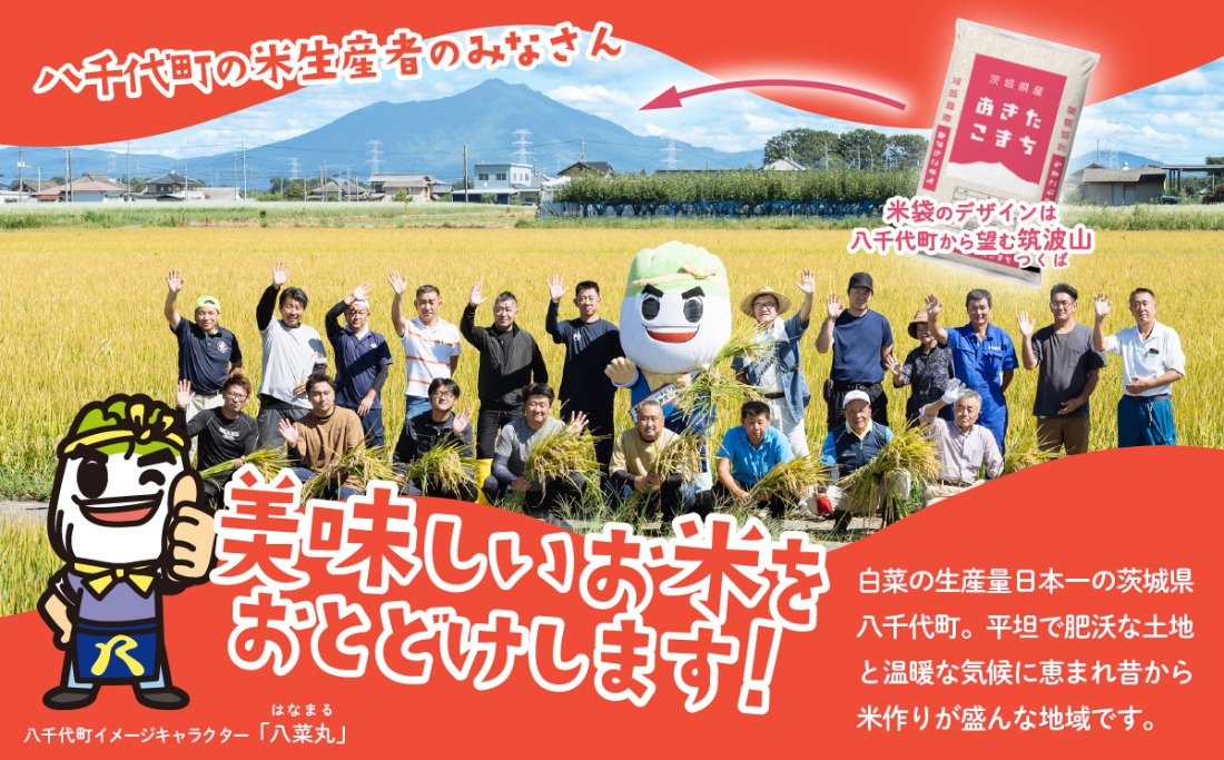 美味しいお米をお届けしますオレンジ