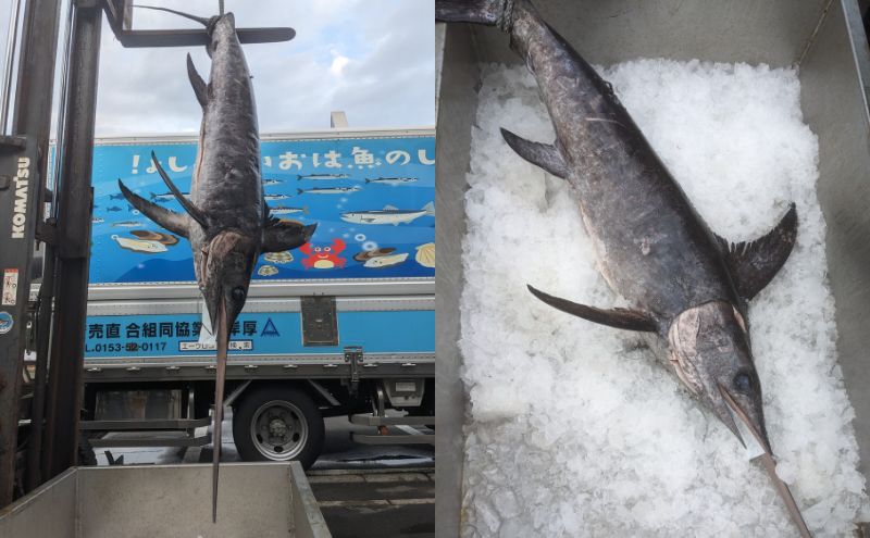 北海道 厚岸産 3D冷凍 メカジキ（500g×1パック）カジキマグロ 魚