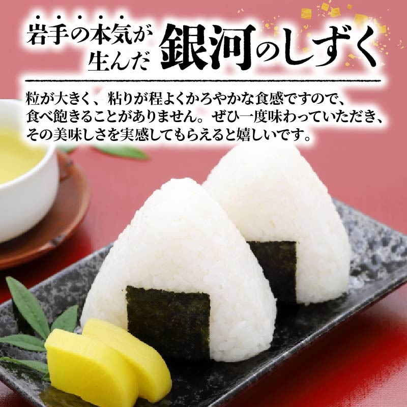 パックご飯 180g×12食 (3個×4パック) 銀河のしずく 一等米 精米 岩手県