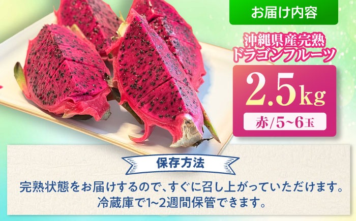 農家直送！南国の果物 ドラゴンフルーツ 2.5kg 火龍果 果物