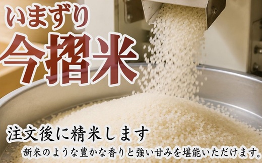 コシヒカリ 精米 10kg (5kg×2) ( 米 お米 こめ コメ おこめ 白米 精米