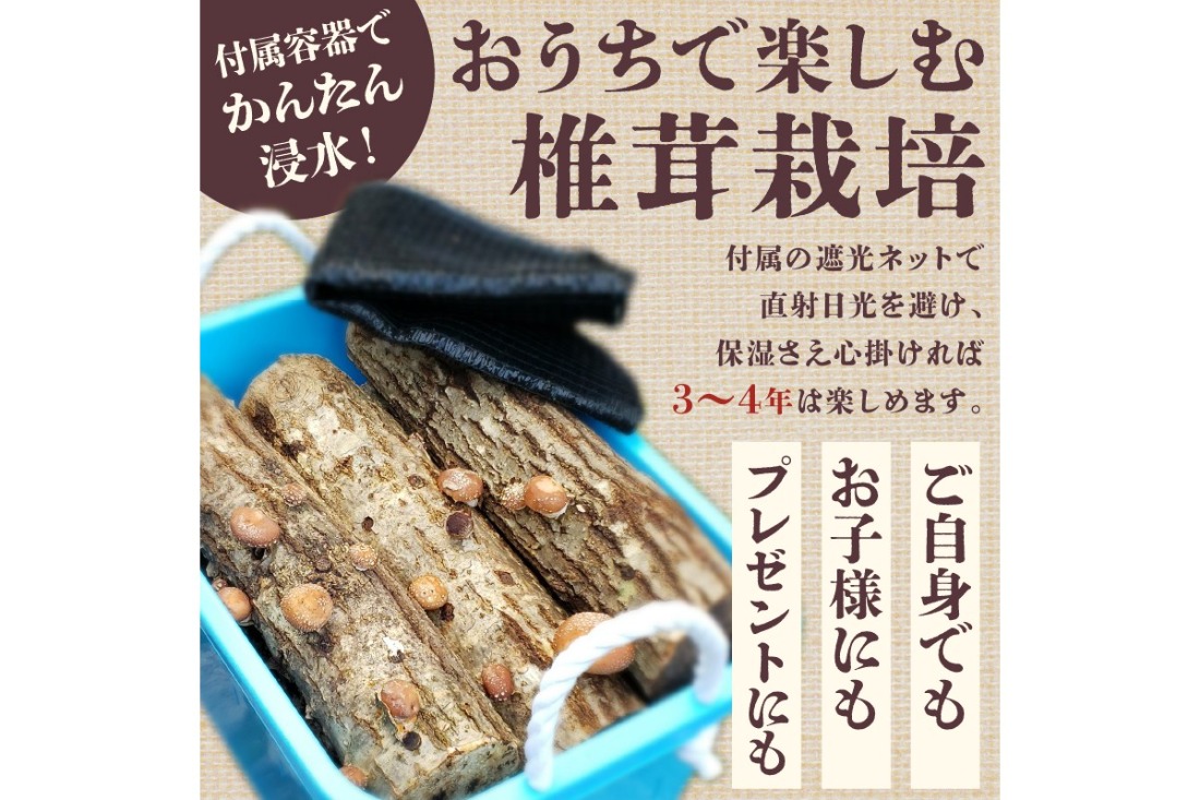 椎茸の原木栽培2夏経過品 ／ 家庭菜園 お手軽 栽培キット 自由