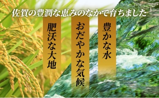 選べる内容量】《最短（3～5営業日）発送》特A評価 令和7年産 さが