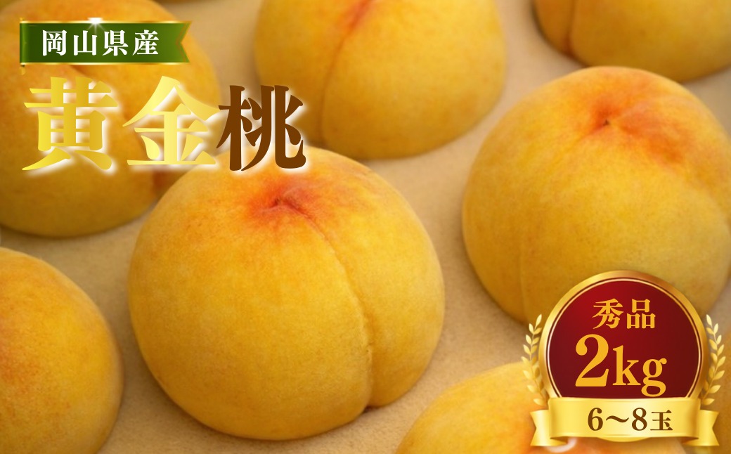 先行受付】黄桃2kg | 岡山県産 黄金桃 桃 フルーツ 果物 高級フルーツ