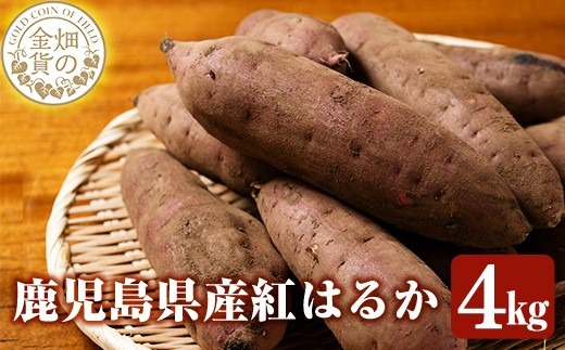 a174 畑の金貨・紅はるか4kg(生芋)【甘いも販売所】姶良市 国産