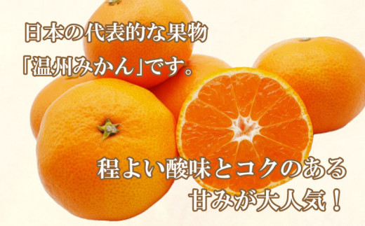 訳あり 愛媛みかん 5kg 7000円 温州みかん こたつ みかん 温州 みかん