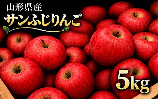 FYN9-385 ≪2026年先行予約≫ 山形県産 サンふじ りんご 5kg 2026年11