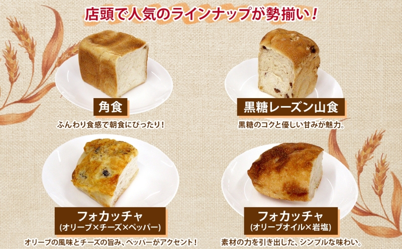 自家製酵母パン 人気の定番セット Lサイズ パン 道産 小麦 惣菜パン