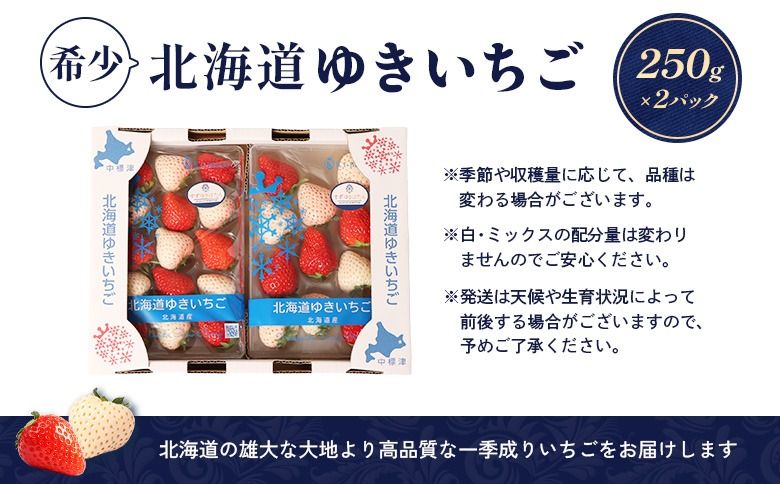 2027年1月以降発送！】【北海道産】ゆきいちご（ゆきぼたん/すず）赤