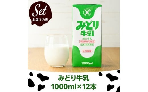 期間限定＞ みどり牛乳(計12L・1000ml×12本)常温 保存 ミルク