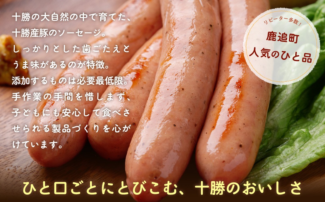 ポークソーセージ 800g（160g×5） SKD020（北海道鹿追町） | ふるさと