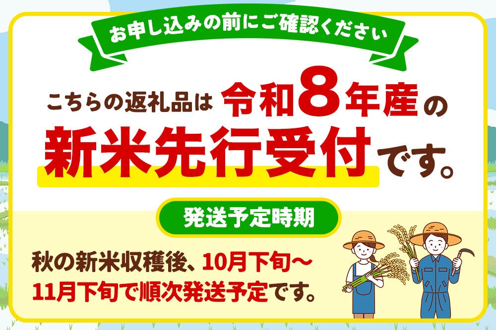 秋田米 10k✖️2 20kg anpam 定期便10ヶ月】 あきたこまち ＜令和8年産 新米受付＞ 玄米 20kg（10kg