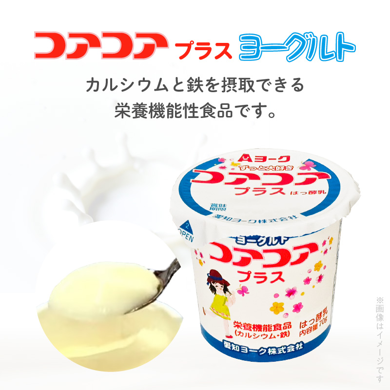 3ヶ月定期便】愛知ヨーク コアコアプラスヨーグルト 20個入［108A11-T