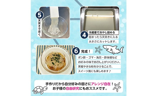 南房総産　天草　ところてん訳あり　8キロ ところてんの素 (1袋・25g＋天突き付き) ところてん 天草 海藻