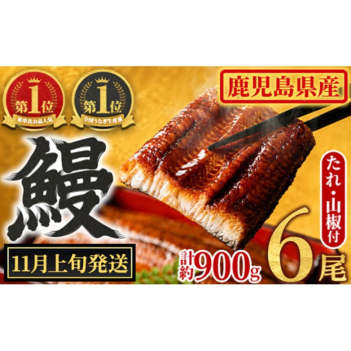 0304349a-2611】＜11月上旬発送予定＞東串良町のうなぎ蒲焼(無頭)(6尾