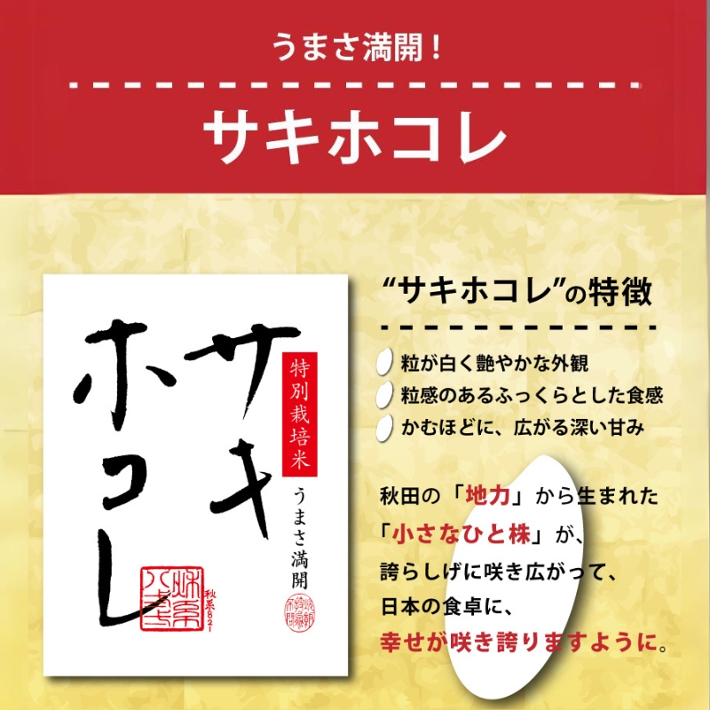 令和8年産 新米予約】≪10ヵ月定期便≫【無洗米】秋田県産特別栽培米