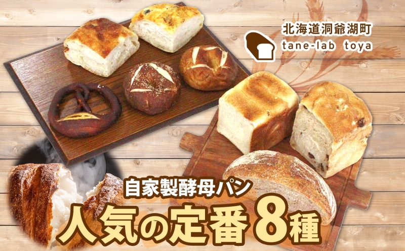 自家製酵母パン 人気の定番セット Mサイズ パン 道産 小麦 惣菜パン