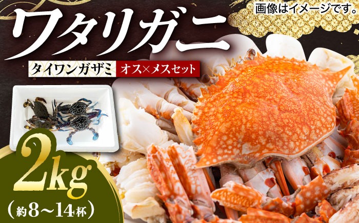 豊前海産 タイワンガザミ 2kg (10～24杯前後) オス メス セット 《築上