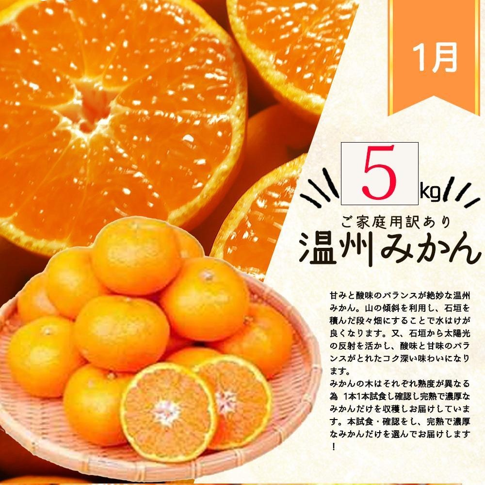 柑橘４点セット 1・2・3・4月 全4回 定期便】紀州和歌山産旬のご家庭用柑橘セット