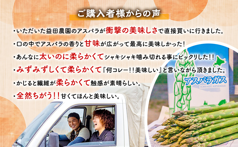 数量限定・2027年4月～発送】富良野 益田農園産 極太 グリーンアスパラ