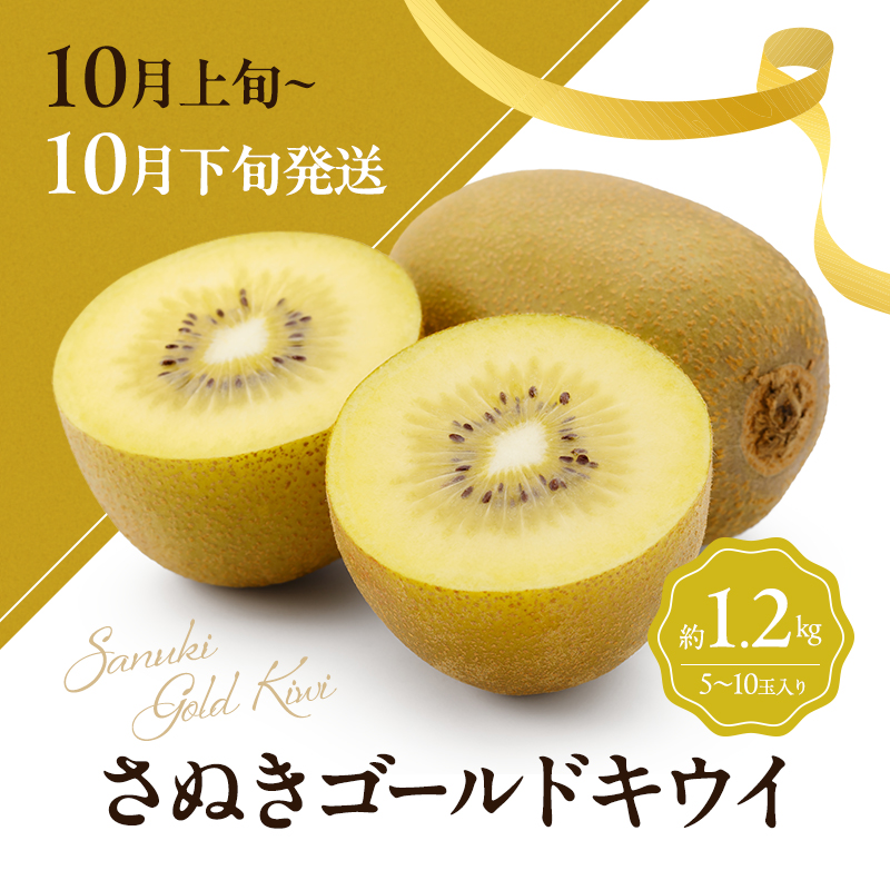 讃岐のキウイ定期便（全3回）【さぬきゴールドキウイ】【さぬきキウイ
