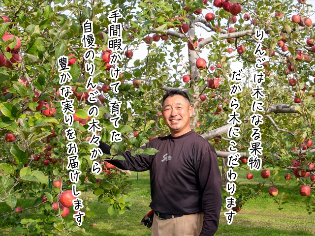 りんご 青森 サンふじ 王林 約 5kg (12～18玉) リンゴ 詰め合わせ