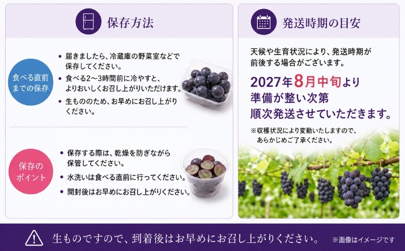 粒ピオーネ 保存方法と2027年8月中旬からの発送案内