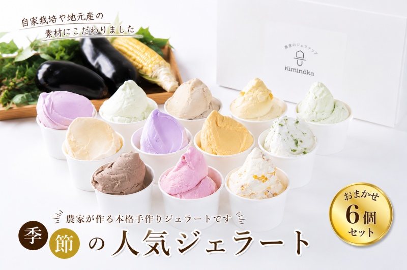 ジェラート セット 6個 1ヶ月以内発送 13000円 / キミノ―カ アイス