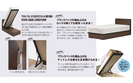 フランスベッド BG-001（跳ね上げ収納タイプ 260mm）シングル
