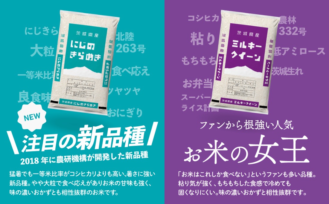 米 新米 20kg 令和8年産 【寄付額5250円~ /5kg当たり】白米 精米
