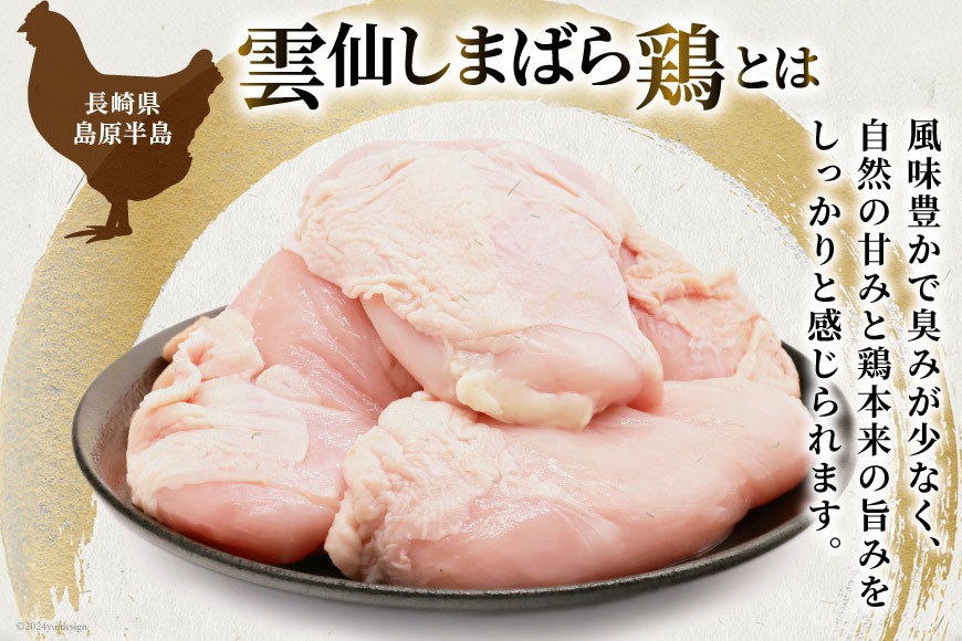 鶏肉 カット済み】国産 鶏むね肉 総量 4.8kg 小分け 12パック 極