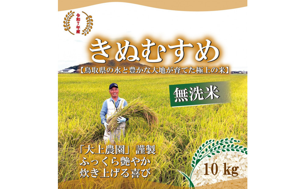 令和7年産 大上農園きぬむすめ 無洗米10kg 313726_CI006（鳥取県北栄町