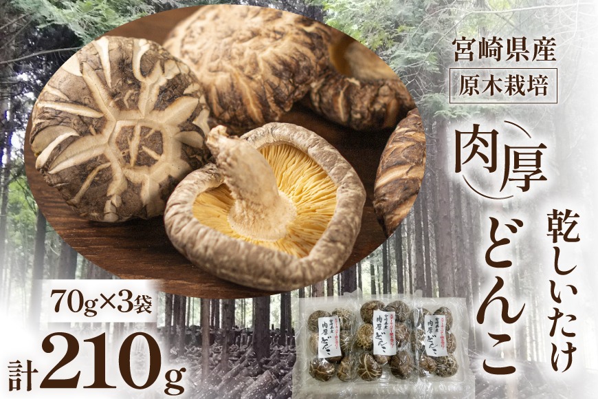 宮崎県産 原木栽培 乾しいたけ 肉厚 どんこ 70g 3袋 計210g [本吉 宮崎