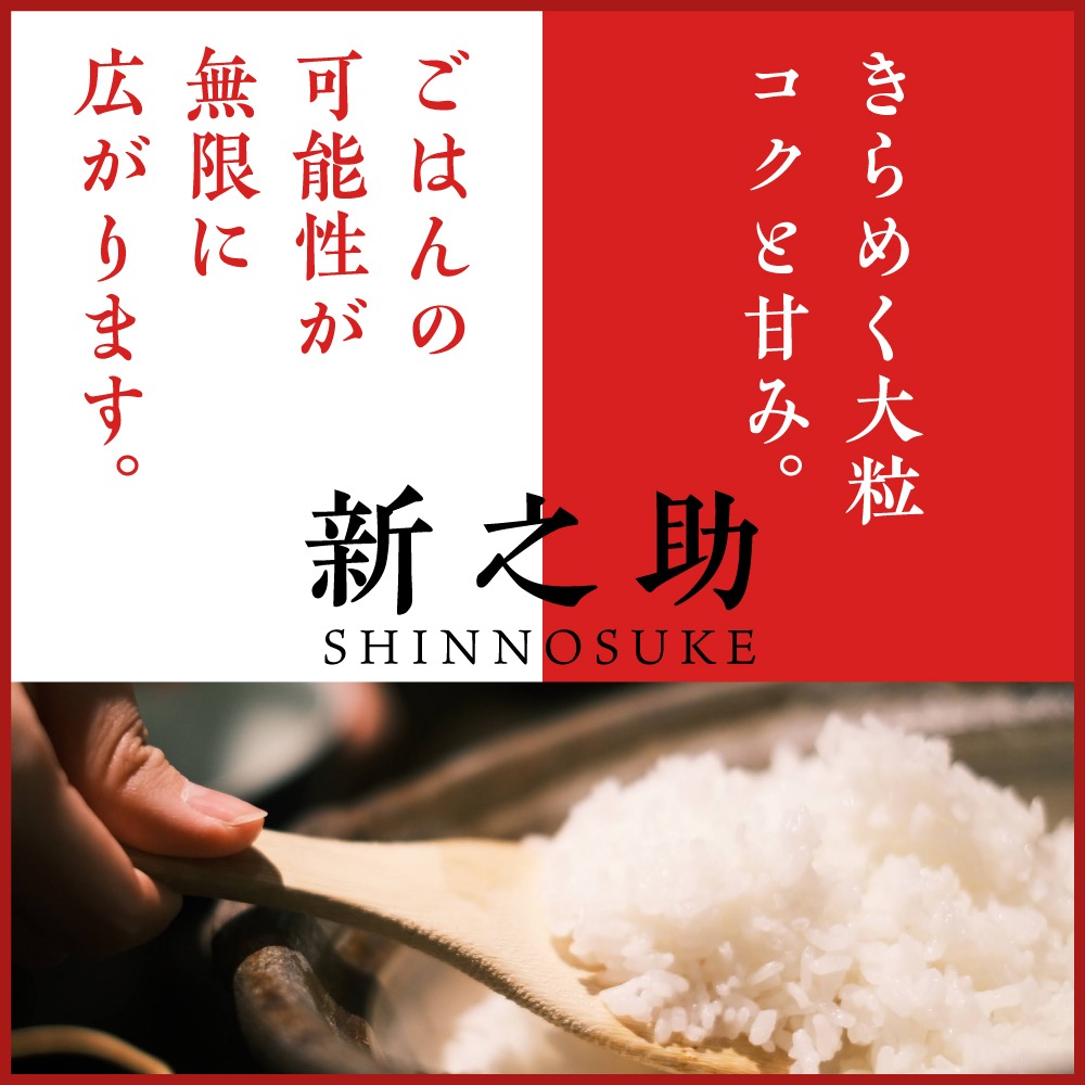 最短1週間程度発送】令和8年産 新潟県上越妙高産 新之助 2kg（新潟県