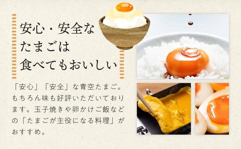 たまごページ 有田の青空たまご ササキのたまご MSサイズ 10kg 約185個（和歌山県