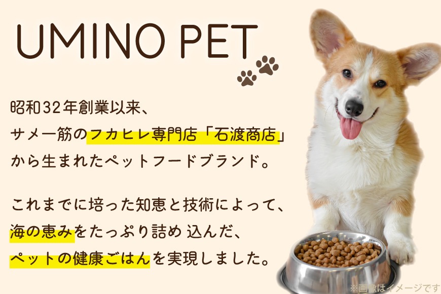 ドッグフード UMINO PET 総合栄養食 800g 2袋 [石渡商店 宮城県 気仙沼