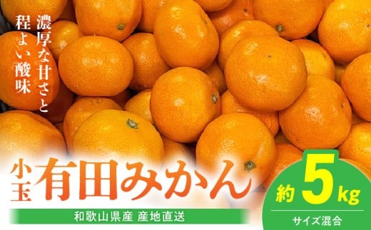 2026年先行予約】【産地直送】和歌山県産 有田みかん 小玉 5kg_BL6173