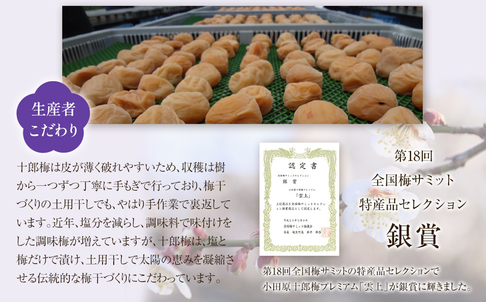 小田原のブランド梅の大粒梅干し】雲上5個入り【 梅干し 神奈川県
