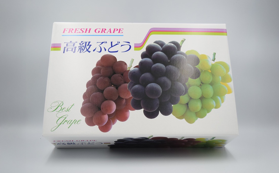 2025発送分】【フルーツ王国山梨】3色ぶどう食べ比べセット（巨峰