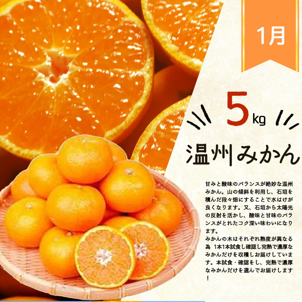 定期便 全4回】紀州和歌山産旬の柑橘セット（みかん・ポンカン・清見