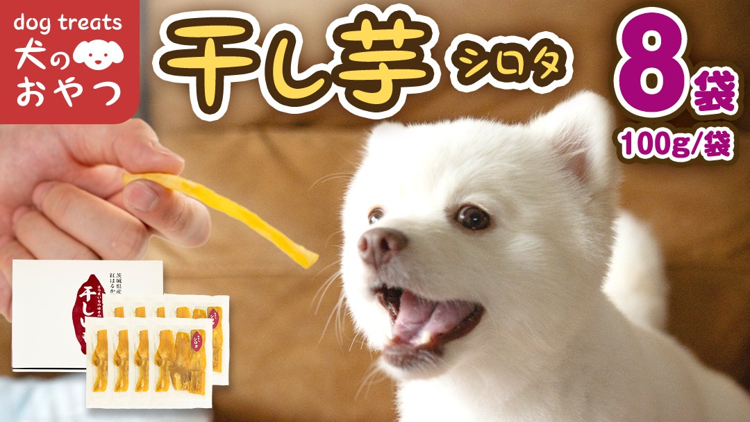 犬のおやつ餌詰め合わせ大特価♡送料無料♡2 楽天市場】犬 おやつ 訳ありの通販 犬のおやつ餌詰め合わせ大特価♡