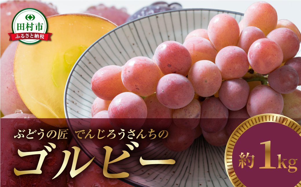 先行予約 2026年発送 ／ ゴルビー 約1kg 冷蔵 種無し 種なし シャイン