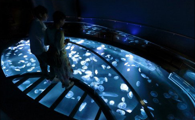チケット 東京 すみだ水族館 年間パスポート引換券 大人2名 ペア 