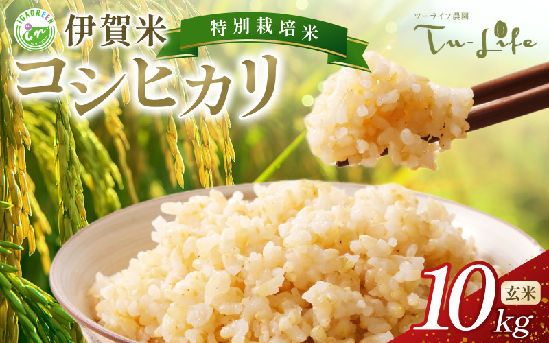 特別栽培米・伊賀米コシヒカリ 10kg〈玄米〉【tuli0006A】（三重県伊賀